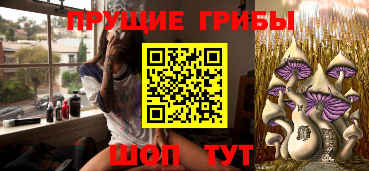 Псилоцибиновые грибы GOLDEN TEACHER  Вход с VPN  Кизляр  Псилоцибиновые грибы прущие грибы 